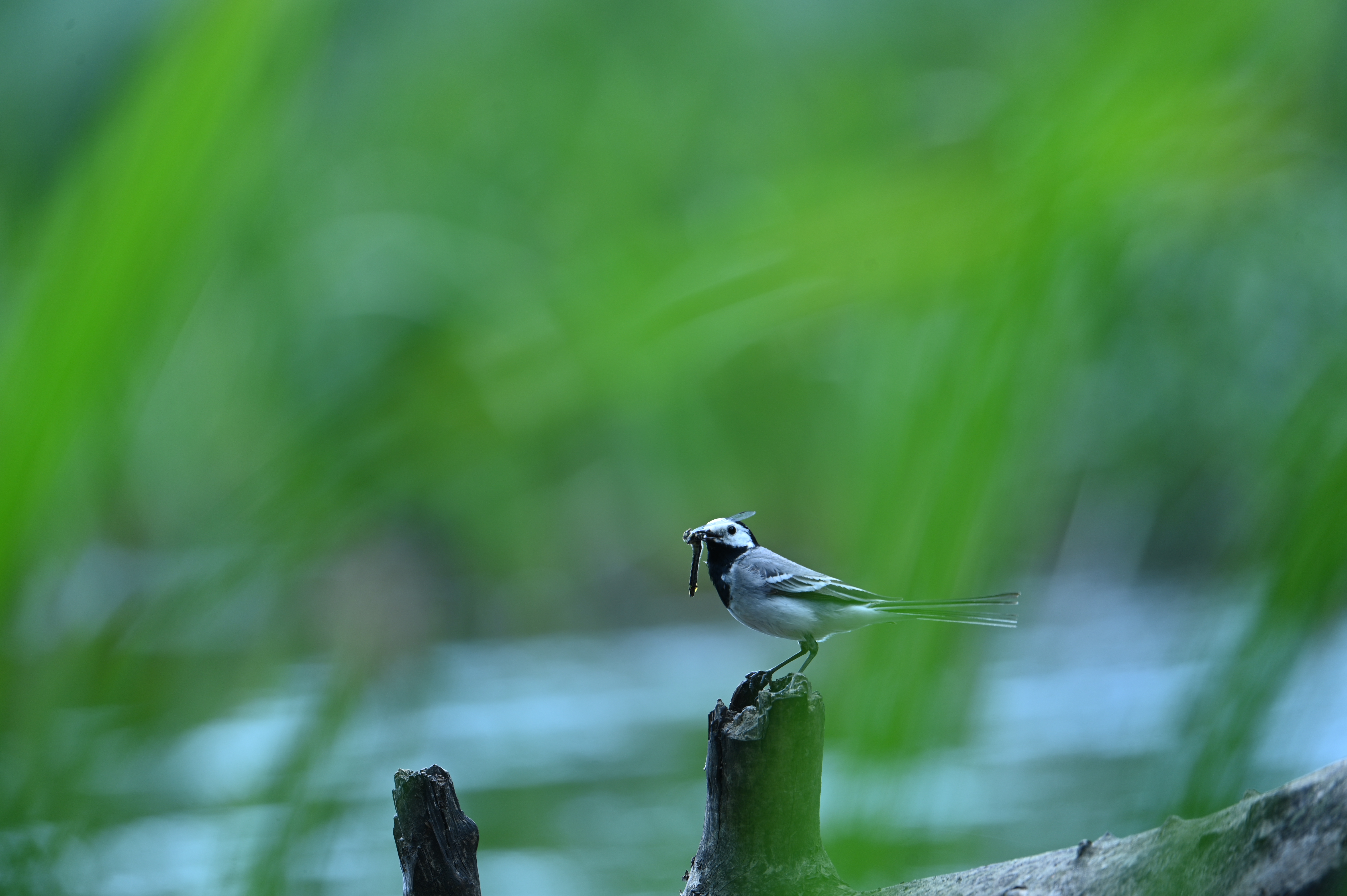 2025/07/09-14 - trip/DSC_0444.JPG